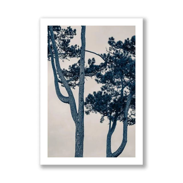 Contemporary Guy Sargent, The Pine Tree, Archival Pigment Print For Sale - Image 3 of 6