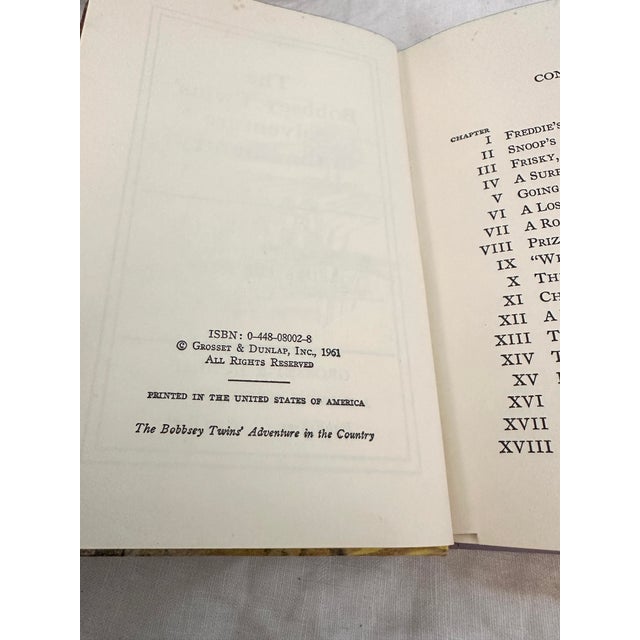 Vintage Set of 9 "The Bobbsey Twins" Books For Sale In Palm Springs - Image 6 of 6