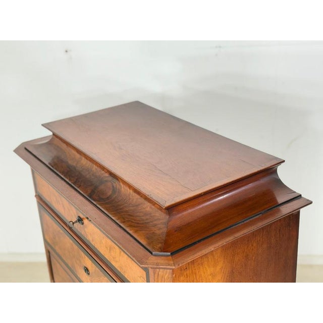 Brown Antique Chest of Drawers, 1900 For Sale - Image 8 of 11