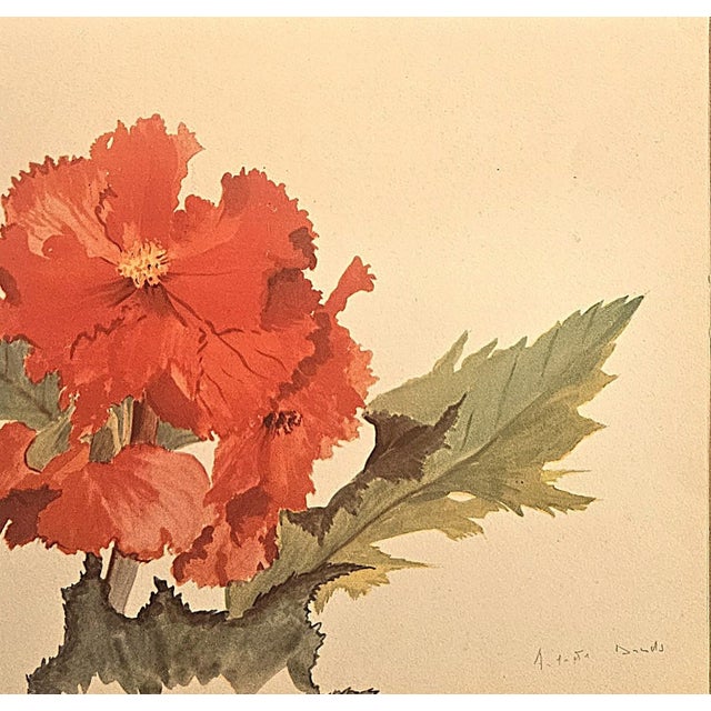 Paper 1940 Set of 2 French Mid-Century Arlette Davids Botanicals-Scarlet Mallow (Hibiscus) For Sale - Image 7 of 7