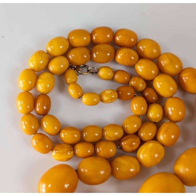 Art Deco 20th Century Butterscotch Egg Yolk Baltic Amber Bead Necklace For Sale - Image 3 of 12