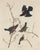 Vintage Reproductions of 1966 John James Audubon Prints— Sparrow, Warbler, Woodpecker, Starling, Swallow and Catcher - Collection of 4 For Sale - Image 9 of 9