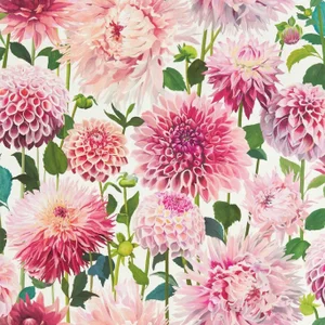 Harlequin Dahlia Wallpaper in Blossom/Emerald/New Beginnings - a Sample