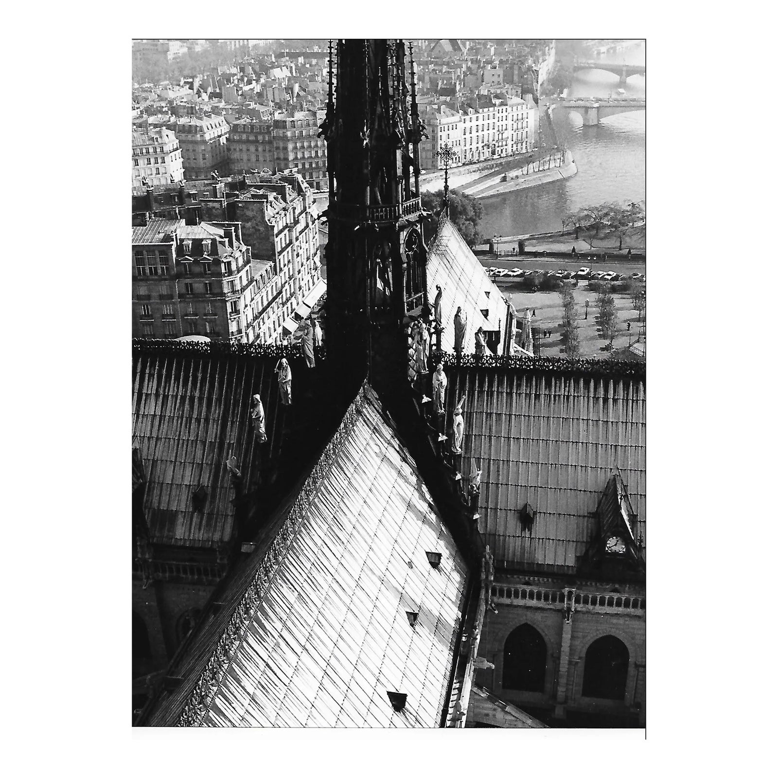 View From Notre Dame Paris Roof Photograph | Chairish