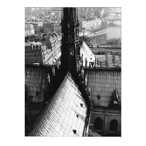 View From Notre Dame Paris Roof Photograph