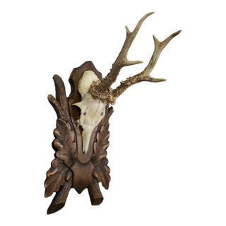 Vintage Red Deer Trophy on Large Carved Plaque, Germany For Sale