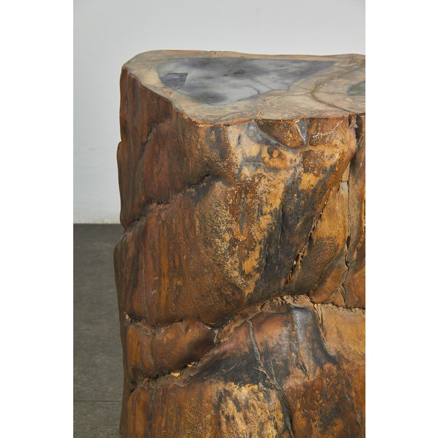 Fossilized Wood Coffee Table, 1970s For Sale - Image 5 of 18