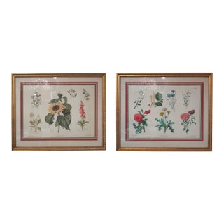 Pair of Large Floral Botanical German Color Engravings For Sale