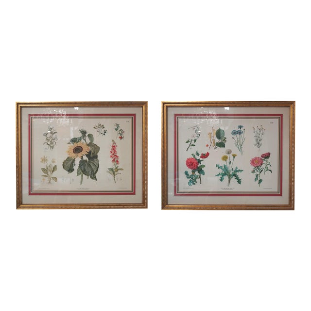 Pair of Large Floral Botanical German Color Engravings For Sale