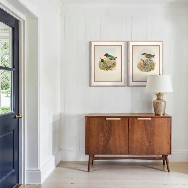 19th Century Rare Gould Pattern Pair | Hand-Colored Pitta Lithographs From John Gould’s Birds of Asia - Set of 2 For Sale - Image 12 of 13