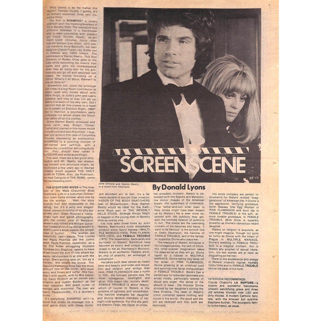 Paper Andy Warhol's Interview Vol v March 1975 W/ Lee Radziwill on Cover For Sale - Image 7 of 12