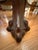 Brown Late 19th Century Mahogany Parlor Table For Sale - Image 8 of 8