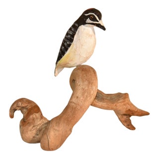 Nc Hand-Carving of a Woodpecker Driftwood, Circa 1960 For Sale