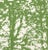 Sample - Schumacher Woodland Fabric in Leaf For Sale