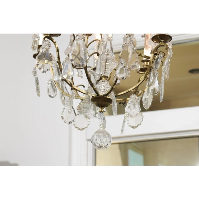 Mid 19th Century French 19th Century Six-Light Crystal Chandelier with Scrolled Brass Armature For Sale - Image 5 of 12