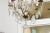 Mid 19th Century French 19th Century Six-Light Crystal Chandelier with Scrolled Brass Armature For Sale - Image 5 of 12