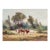 'Horses by the Eucalyptus' by Leonardo Remigante, 1973, Cuneo, Piedmont, Italian Impressionist, Equestrian For Sale