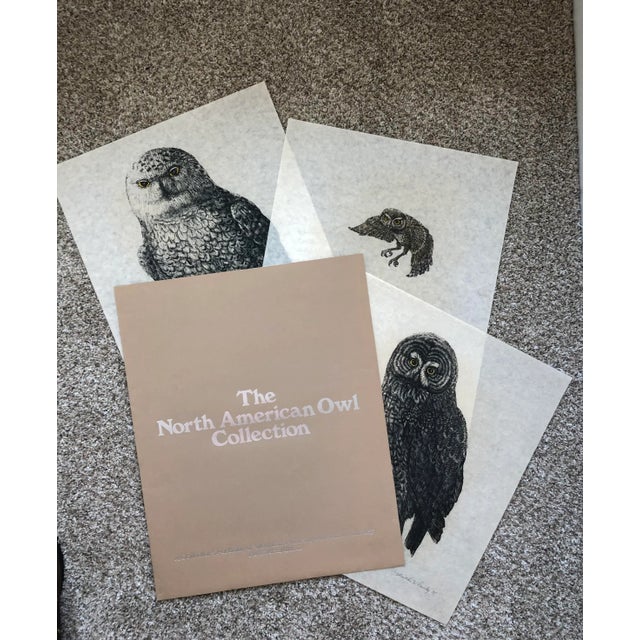 Gray 1975 Martha Cawley Woodblock Print, Saw-Whet Owls, #1/100 For Sale - Image 8 of 9