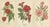 Edward Step, Horticultural Art, 1896, Paper, Set of 3 For Sale