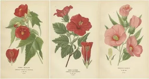 Edward Step, Horticultural Art, 1896, Paper, Set of 3