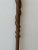 Antique Cane With Steam Bent Spiraling Branch Detail, Circa Early 20th Century For Sale - Image 16 of 16