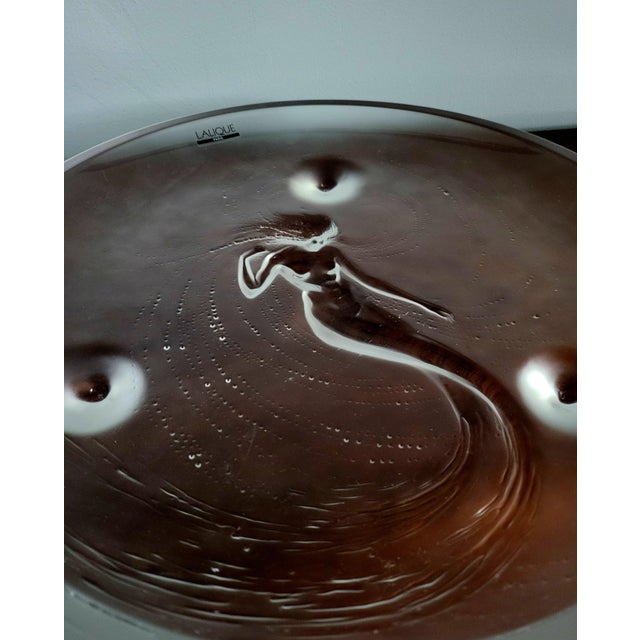 Large Ondines Charger from Lalique For Sale - Image 5 of 6