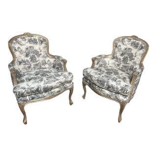 Pair of Vintage Bergere Chairs For Sale