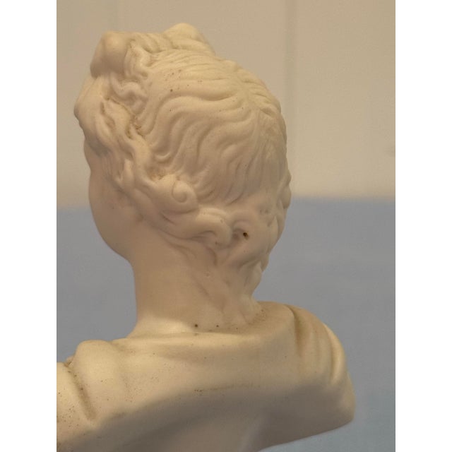 Stone Pair of Antique French Composition Stone Classical Busts, Circa 1900 For Sale - Image 7 of 12