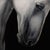 This artwork features a striking portrayal of a white horse, its head bowed in a moment of quiet reflection. The smooth,...