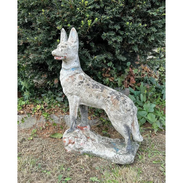 A beautiful and lifelike standing concrete sheepdog from the 1950s. It originates from France and is shaped like an almost...