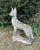 A beautiful and lifelike standing concrete sheepdog from the 1950s. It originates from France and is shaped like an almost...
