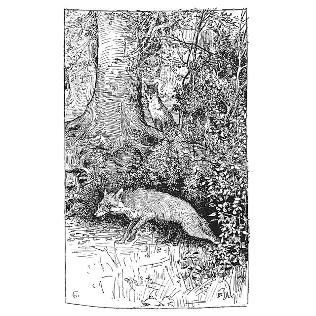 "Reynard the Fox" 1895 Jacobs, Joseph For Sale - Image 4 of 8