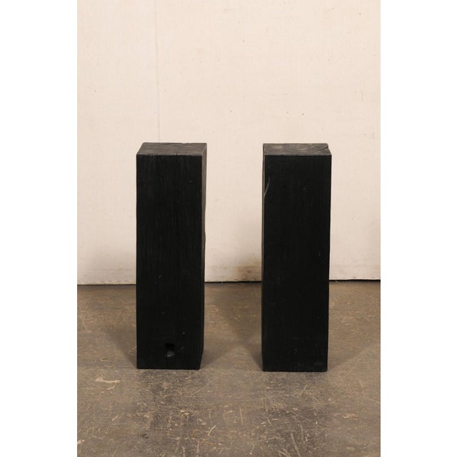 19th Century Indonesian Carbonized Ironwood Pedestal Columns – A Pair For Sale - Image 10 of 12