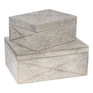 Andres Hair on Hide Box Set, Grey For Sale