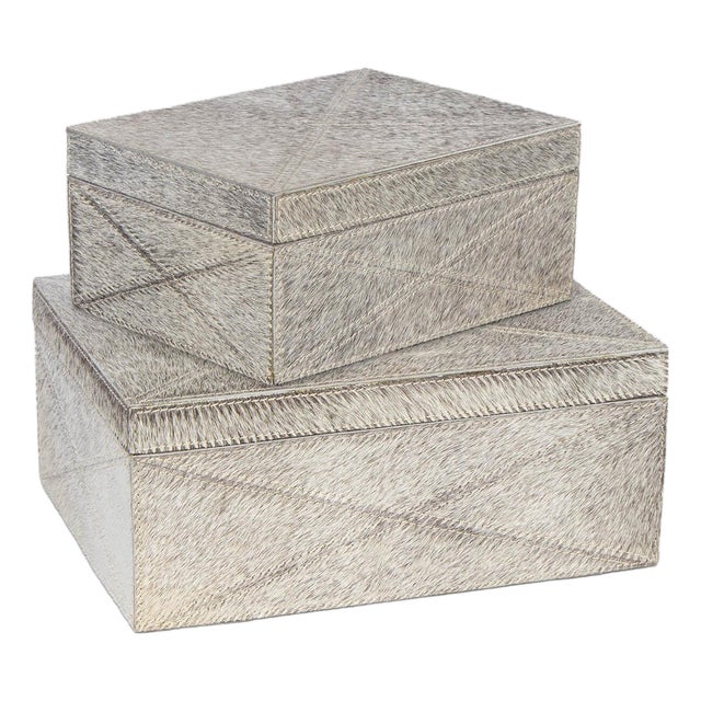 Andres Hair on Hide Box Set, Grey For Sale