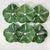 Asparagus 1990s Vintage Hollywood Regency Boho Chic Majolica Cabbage Ware Dinner Plates - Set of 6. For Sale - Image 8 of 14