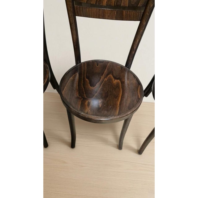 Vintage Ton Wooden Dining Chairs, 1940s, Set of 4 For Sale - Image 12 of 16