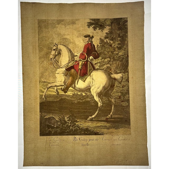 Antique Equestrian/Dressage Prints, Set of Seven, Framed For Sale - Image 9 of 13