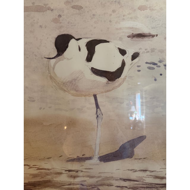 Original 1983–84 exhibition poster for Lars Jonsson at the Naturhistoriska riksmuseet, Stockholm. Watercolor study of a...