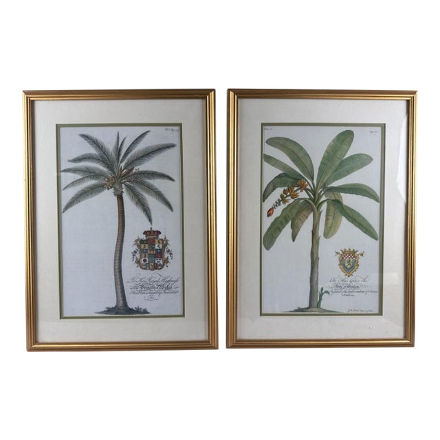After George Dionysius Ehret Germany, 18th Century Two 20th Century Botanical Prints: For Sale