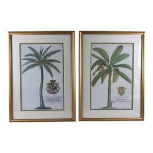 After George Dionysius Ehret Germany, 18th Century Two 20th Century Botanical Prints: