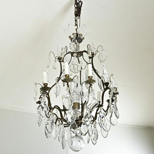 French 19th Century Louis XVI Style Chandelier For Sale - Image 9 of 12