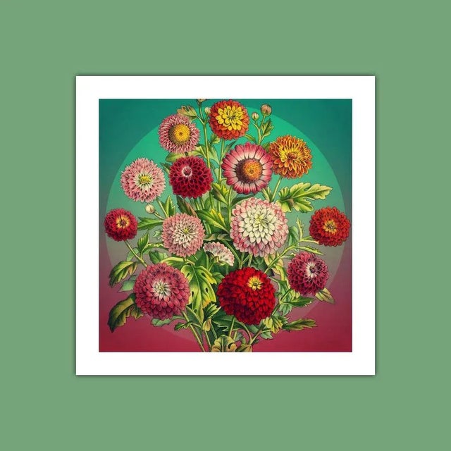 Realism Antique 'Mums' Archival Print For Sale - Image 3 of 3