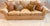 A. Rudin A. Rudin Upholstered Silk Roll Arm Sofa Loose Back &Seat Cushions With Dressmakers Skirt Four Decorative Pillows For Sale - Image 4 of 12