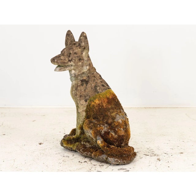 This exquisite mid-20th-century concrete Shepherd dog, covered in moss, exudes timeless elegance with an honest patina....