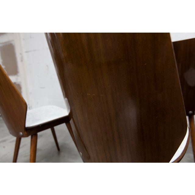 Baumann Chairs Model 840 G2s in Varnished Mahogany Finish, 1963, Set of 6 For Sale - Image 18 of 18