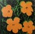 Contemporary Andy Warhol Flowers Official Exhibition Poster For Sale - Image 3 of 3