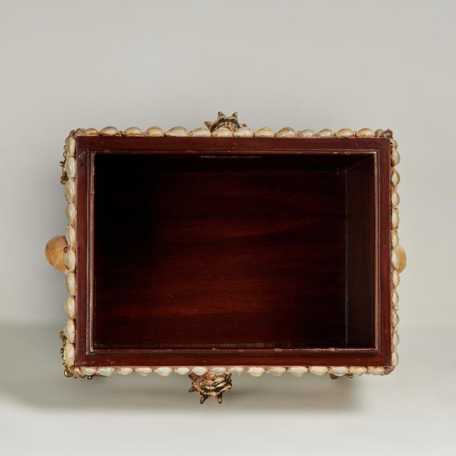 Vintage Seashell Encrusted Box by Maitland Smith For Sale - Image 9 of 11