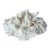 Natural White Coral Reef Specimen #7 For Sale