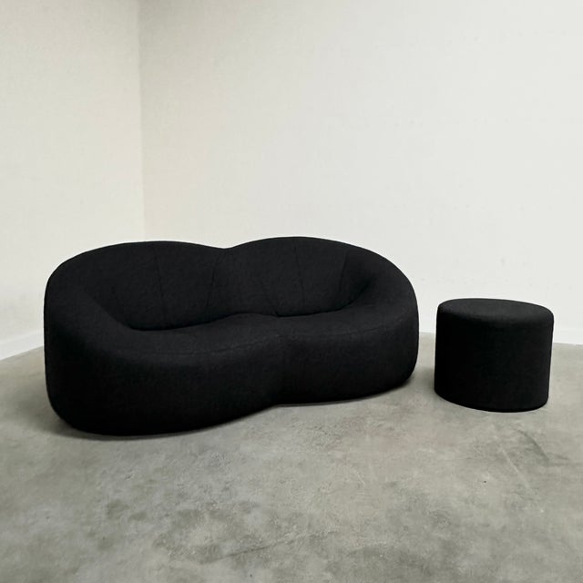 Pumpkin Two-Seater Sofa and Pouf by Pierre Paulin for Ligne Roset, 2008, Set of 2 For Sale - Image 16 of 16